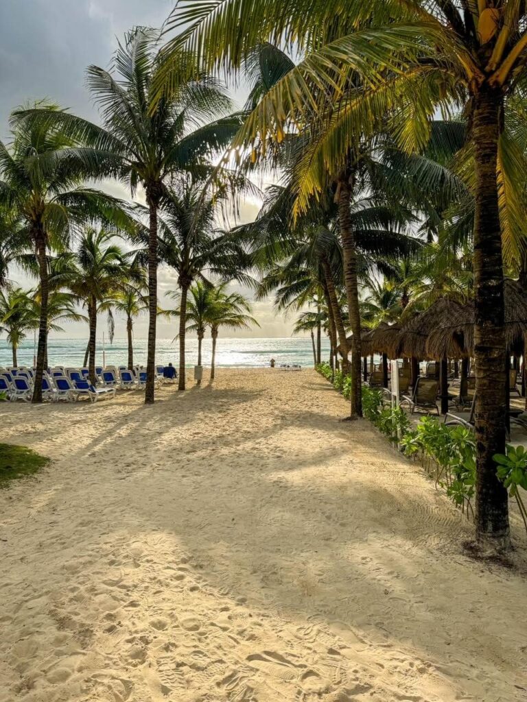 Photo of beach long stretch of sand, ocean in the distance, beach chairs and palm trees on either side. 