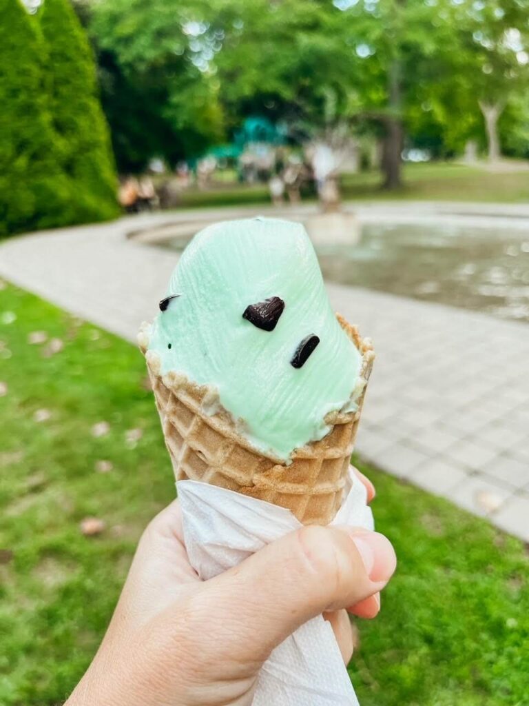 Holding a mint chocolate chip ice cream cone at Simcoe Park