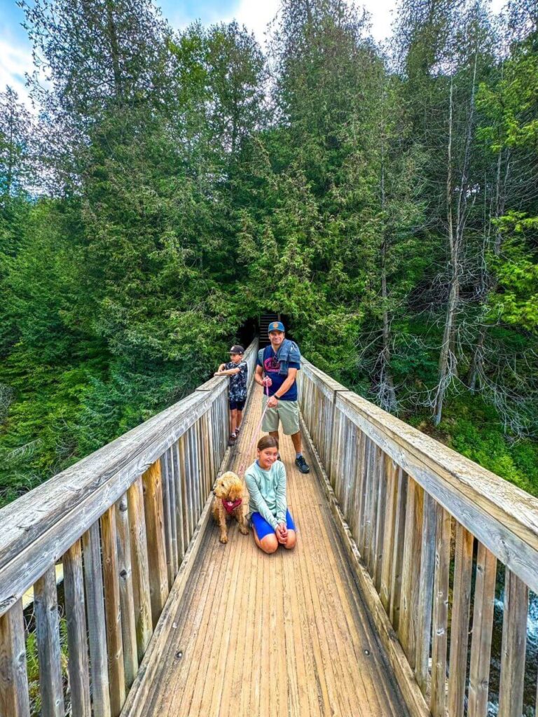 Dad, boy and girl with their dog on the suspension bridge at Belfountain conservation area.