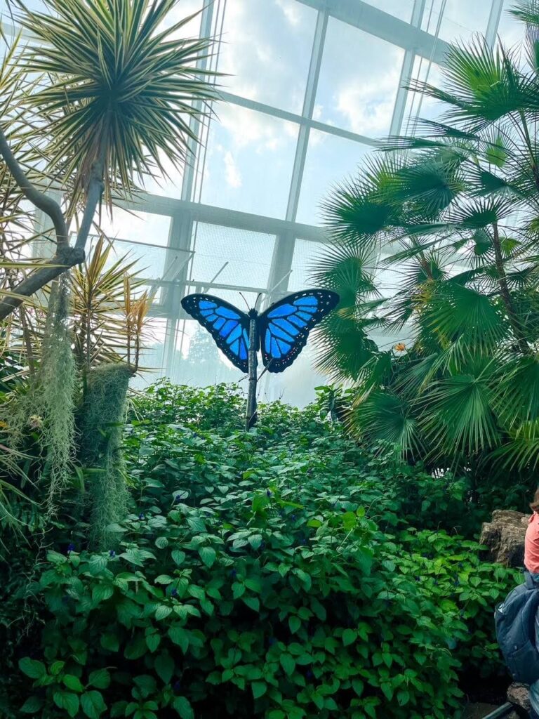Green tropical trees with blue butterfly statue in the glass house at the Niagara Falls Butterfly Conservatory